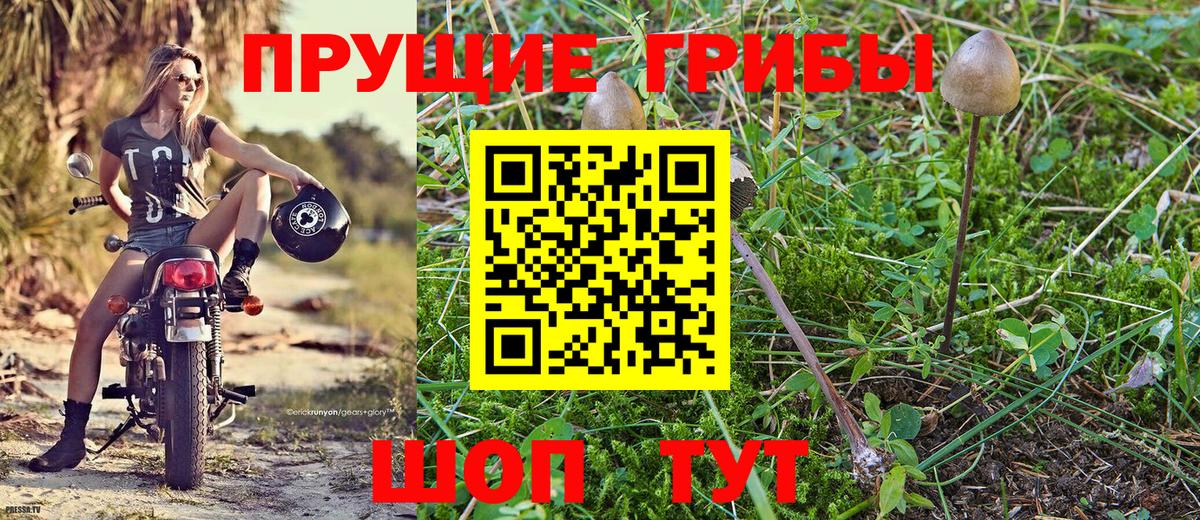 Галлюциногенные грибы Magic Shrooms  Вход с VPN  Псилоцибиновые грибы MAGIC MUSHROOMS  Конаково 
